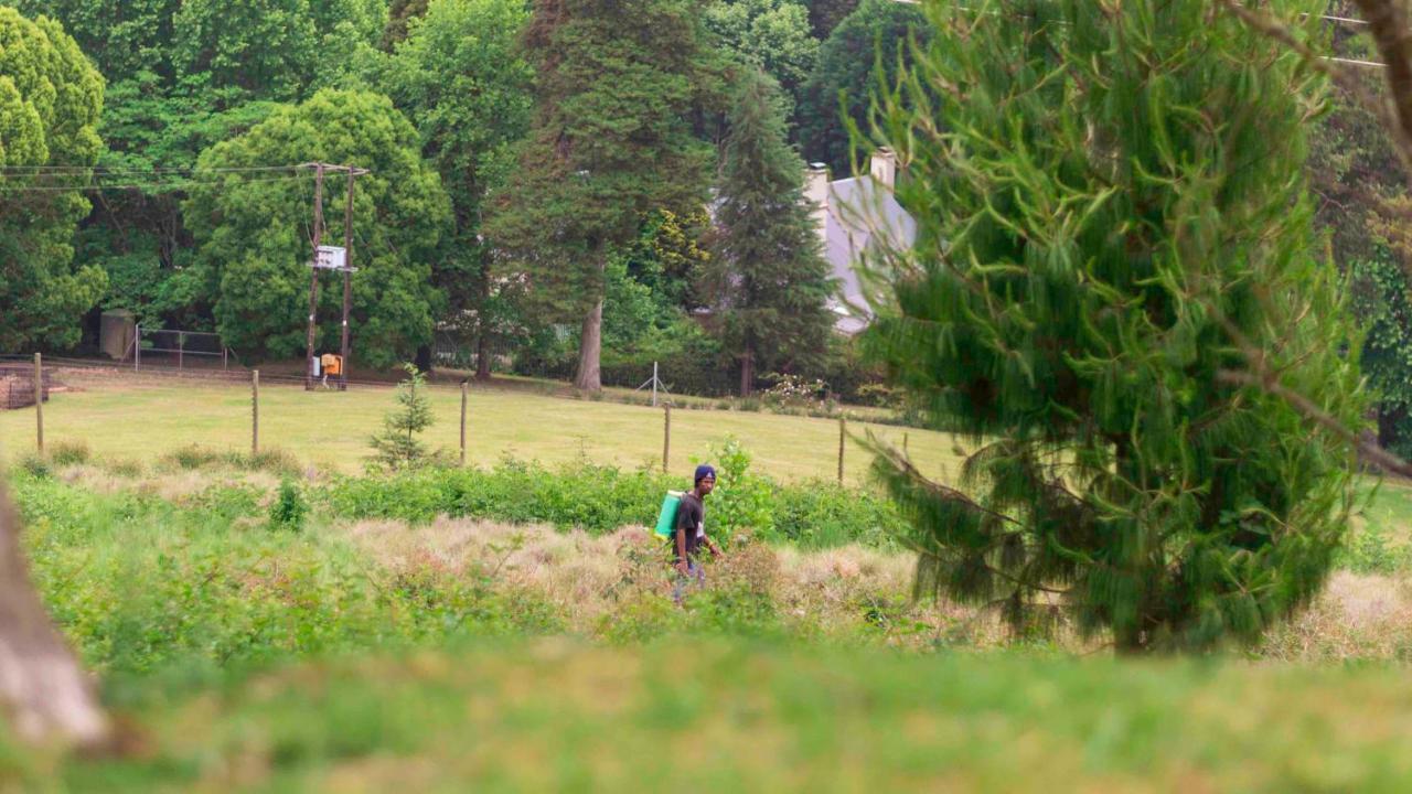 Arum Hill Lodge Balgowan Zewnętrze zdjęcie