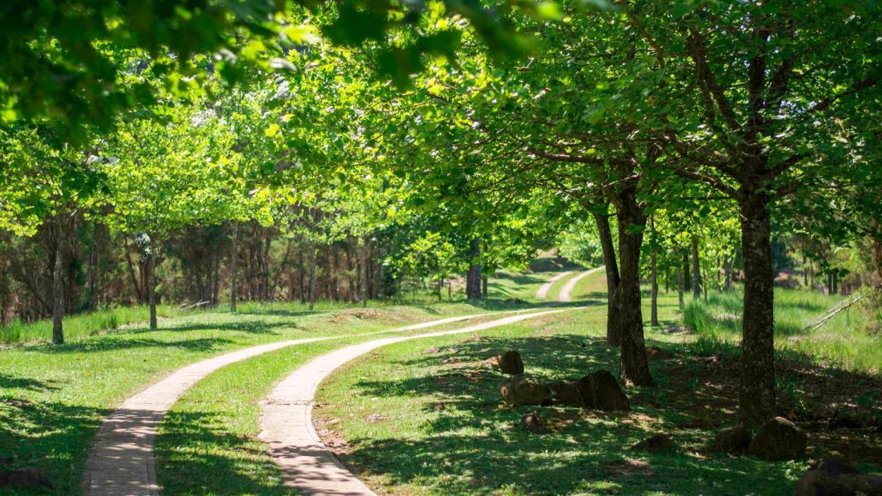 Arum Hill Lodge Balgowan Zewnętrze zdjęcie
