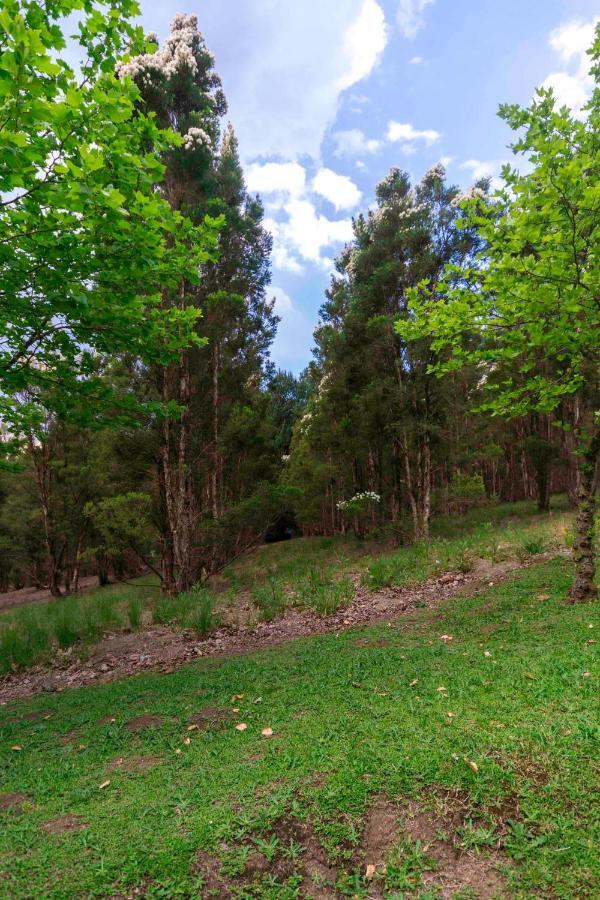 Arum Hill Lodge Balgowan Zewnętrze zdjęcie